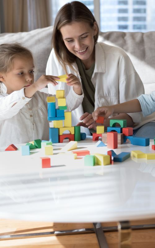 Household Payroll Household Payroll